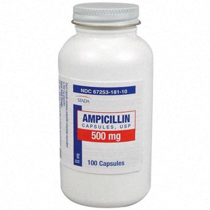 ampicillin