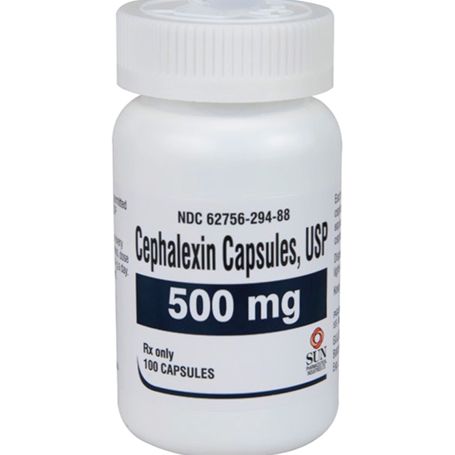cephalexin